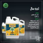 اجرو سال