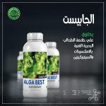 الجأبيست