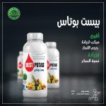 بيست بوتاس