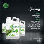 بيست سال