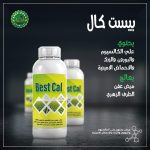 بيست كال