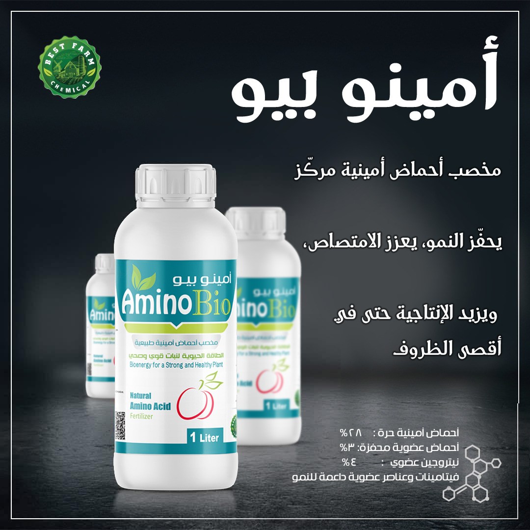 امينو بيو امينو بيو - الصورة 1