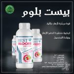 بيست بلوم