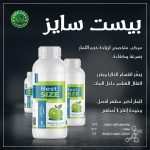 بيست سايز