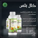 كال بلس
