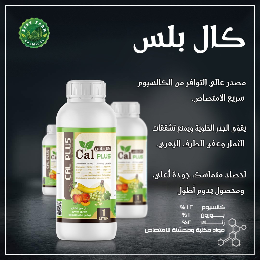 كال بلس كال بلس - الصورة 1