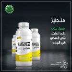 منجنيز