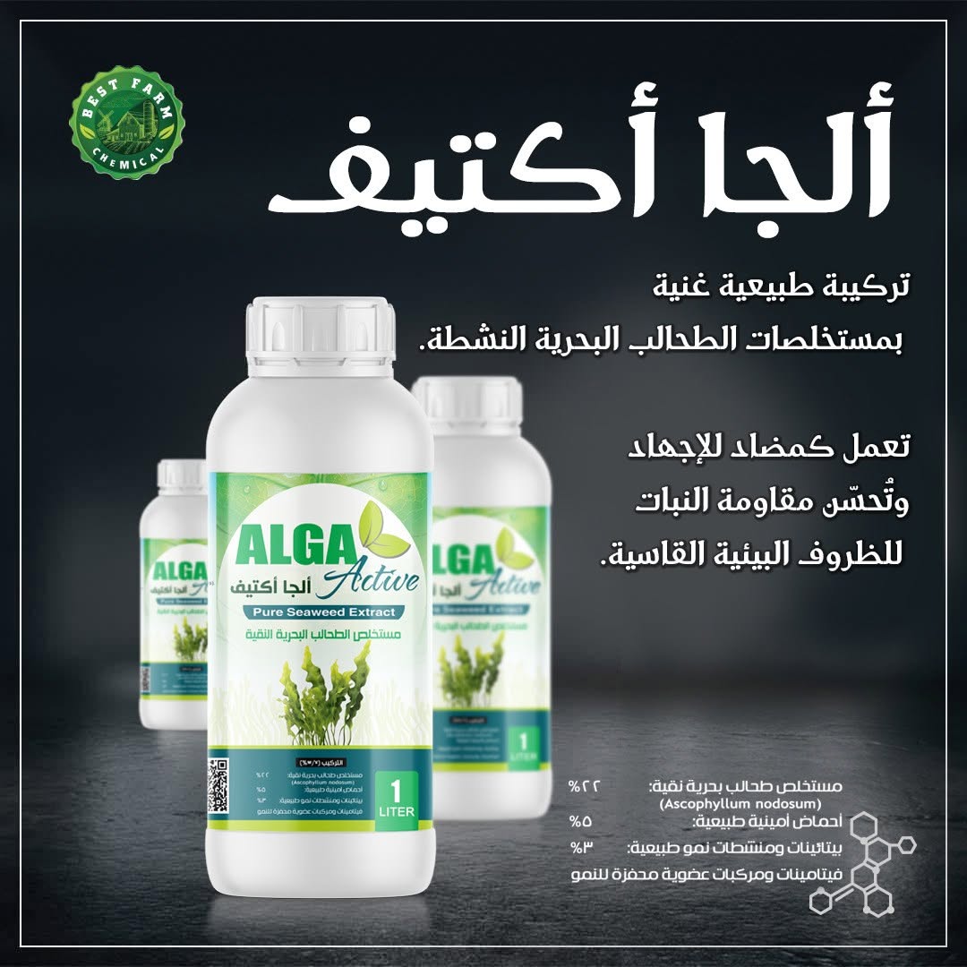 الجا اكتيف الجا اكتيف - الصورة 1