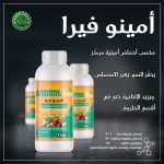 امينو فيرا